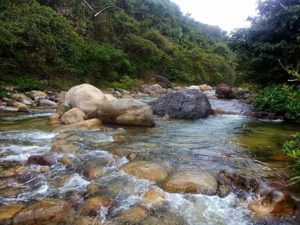 Casa Rio Cuale And River Retreat Puerto Vallarta Bagian luar foto