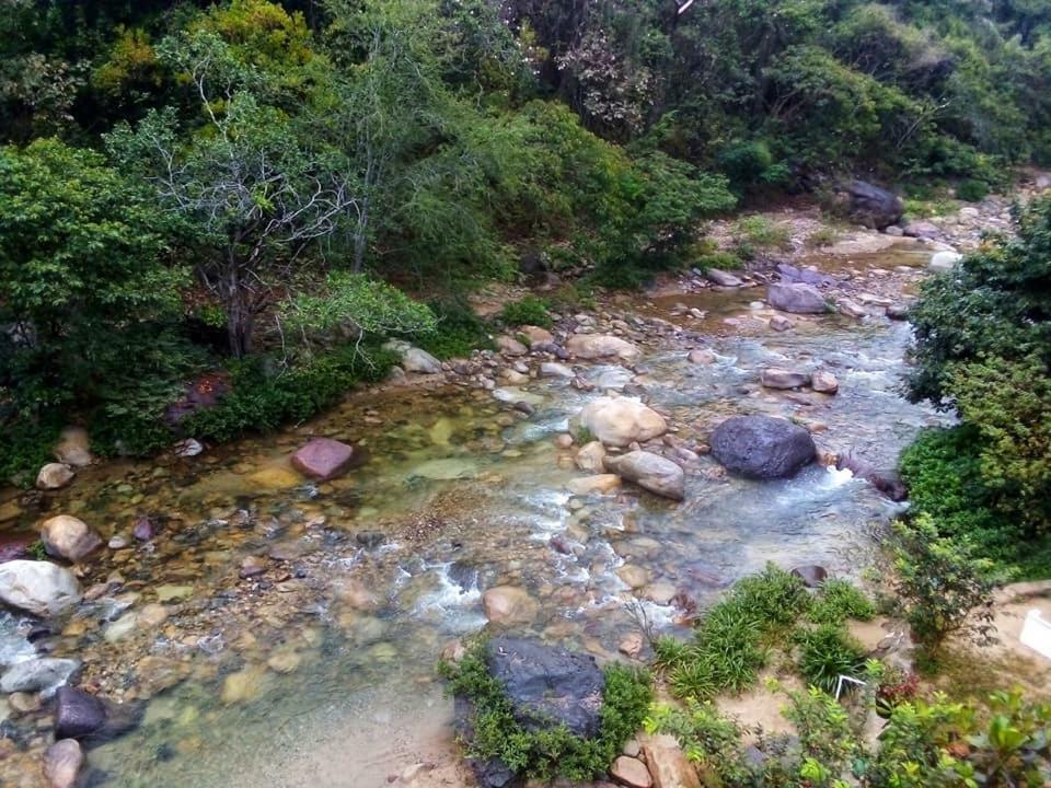 Casa Rio Cuale And River Retreat Puerto Vallarta Bagian luar foto