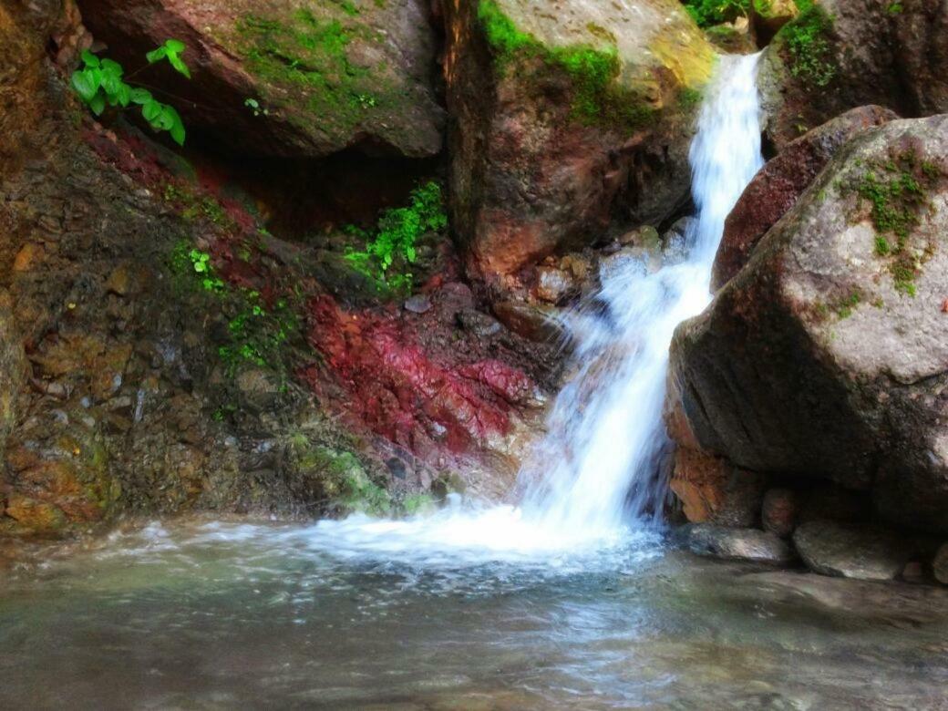 Casa Rio Cuale And River Retreat Puerto Vallarta Bagian luar foto